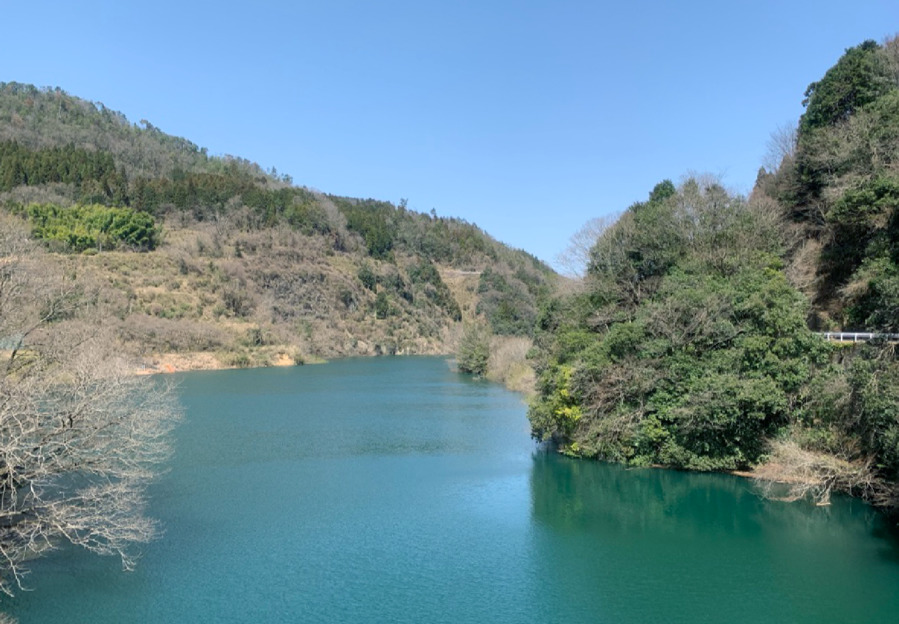 青連寺湖