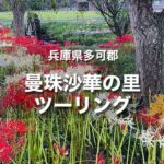 曼珠沙華の里ツーリング｜兵庫県多可郡に赤・白・黄色の彼岸花を見に行く！