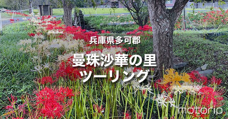 曼珠沙華の里ツーリング｜兵庫県多可郡に赤・白・黄色の彼岸花を見に行く！