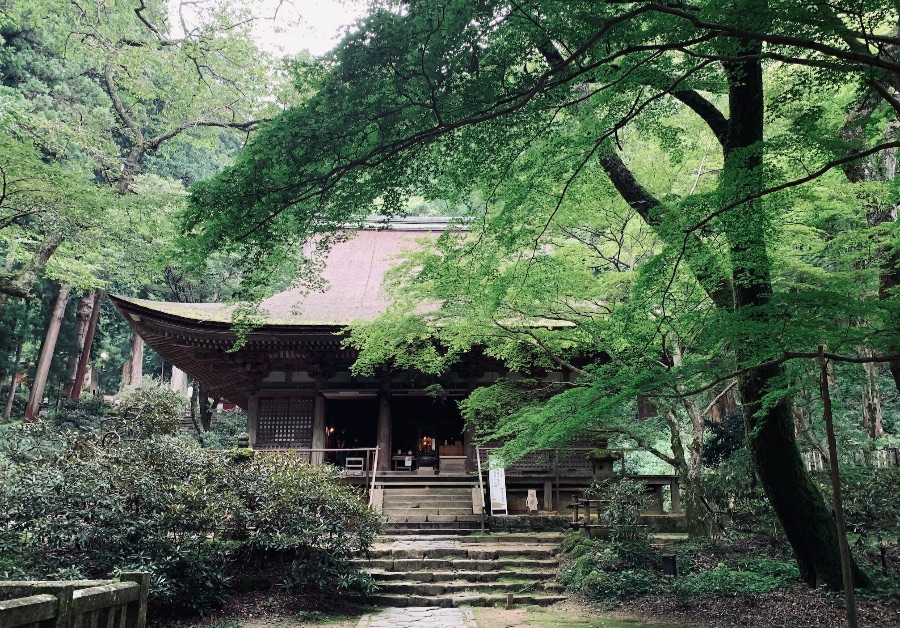 室生寺の本堂は鎌倉時代に建立された（国宝）