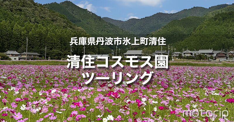 清住コスモス園ツーリング｜バイクで行ける関西近郊のおすすめコスモス園のまとめ一覧！