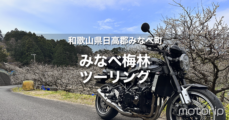和歌山 みなべ梅林ツーリング｜バイクに乗ったまま梅見（花見）を楽める！