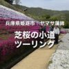 ヤマサ蒲鉾 芝桜の小道ツーリング｜ミツマタ群生地にも立ち寄って春を楽しむ！
