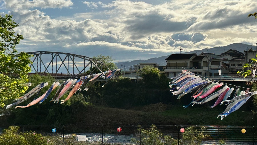 こいのぼり丹生川渡しとは、和歌山県の九度山町にある丹生橋付近に約100匹のこいのぼりが川幅いっぱいに飾られるイベントです。