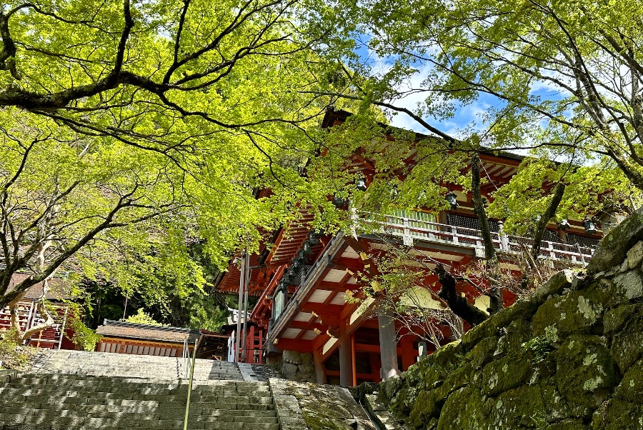 談山神社は階段以外にも足に優しい遊歩道コースがあります