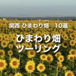 ひまわり畑ツーリング｜バイクで行きやすい関西のひまわり畑 10選