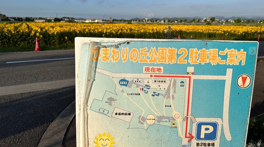 兵庫県小野市にあるひまわりの丘公園の南側にあるひまわり畑