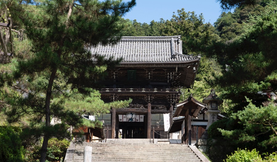 花の御寺とも呼ばれる奈良 長谷寺は人気の映えスポット