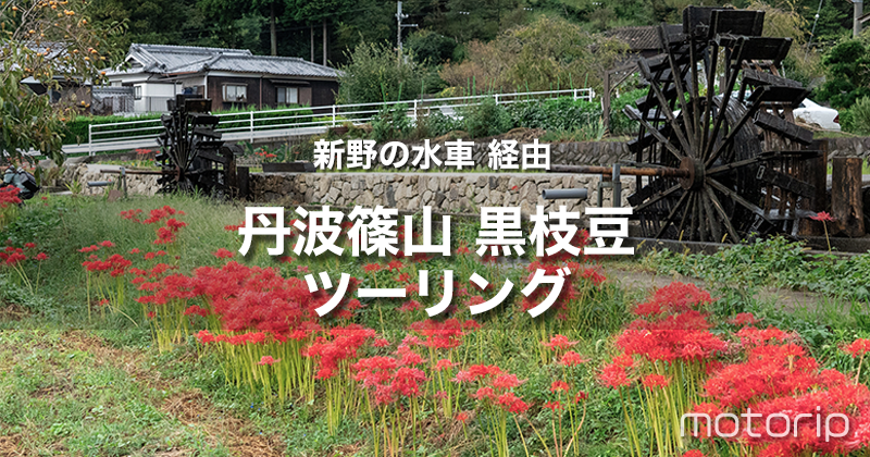 秋は丹波の枝豆だ！｜彼岸花を愛でつつ丹波篠山の黒枝豆購入ツーリング