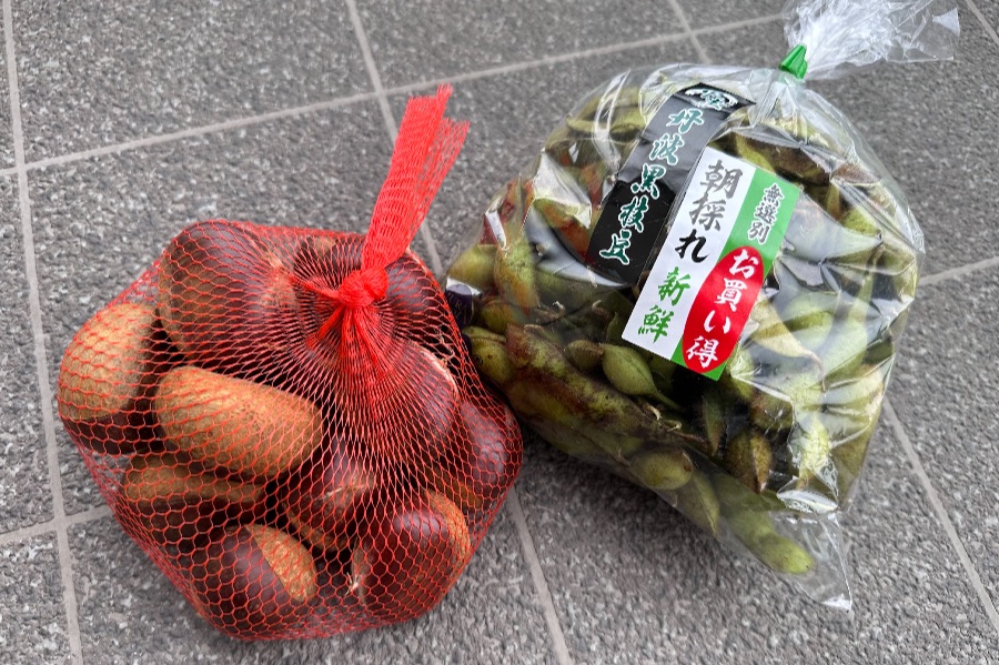 丹波篠山の枝豆とおおきな栗を購入