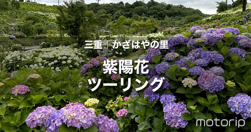 三重県津市 かざはやの里 あじさいツーリング｜季節の花を楽しもう！