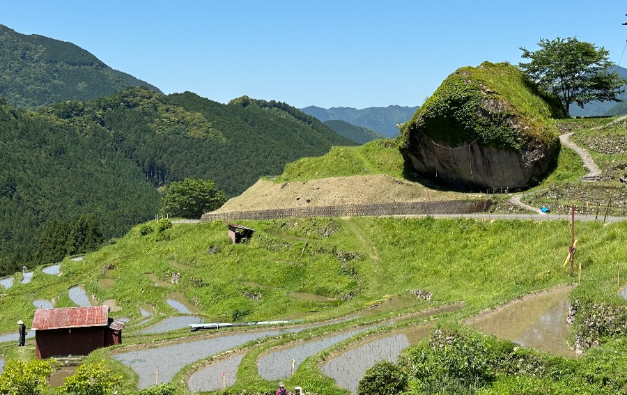 丸山千枚田にある大石