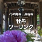 大輪の牡丹が咲く長谷寺ツーリング｜奈良