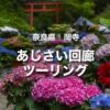 岡寺ツーリング｜大和観音 あじさい回廊で四ヶ寺を巡ろう！