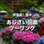 岡寺ツーリング｜大和観音 あじさい回廊で四ヶ寺を巡ろう！