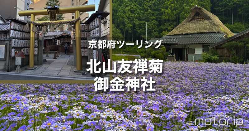 北山友禅菊＆金運上昇ツーリング｜京都の秘境経由で御金神社へ