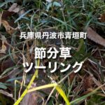兵庫県丹波市青垣｜春の妖精と呼ばれるせつぶん草を愛でるツーリング