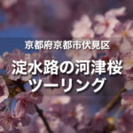 淀水路の河津桜｜京都にある早咲き桜でひと足早いお花見を！