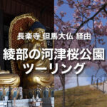 紫水ヶ丘公園の河津桜｜京都府綾部市の知る人ぞ知る桜公園と但馬大仏