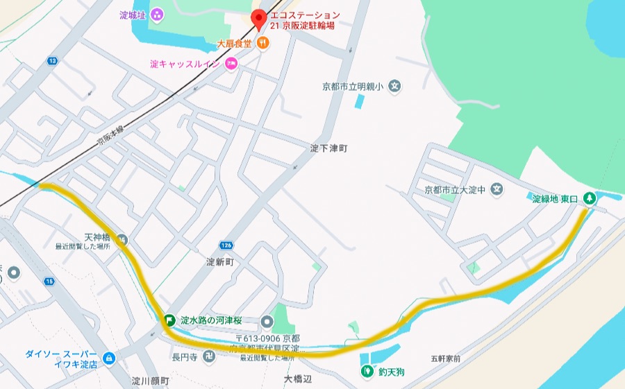 淀水路の河津桜|徒歩コース