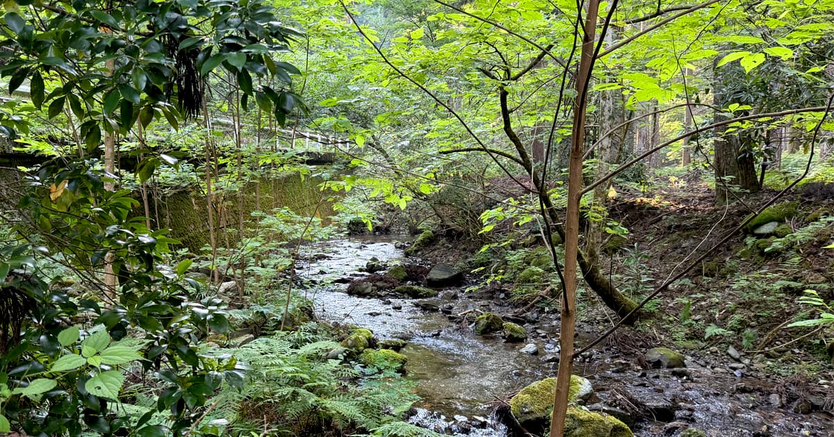ツーリンススポット｜周山街道